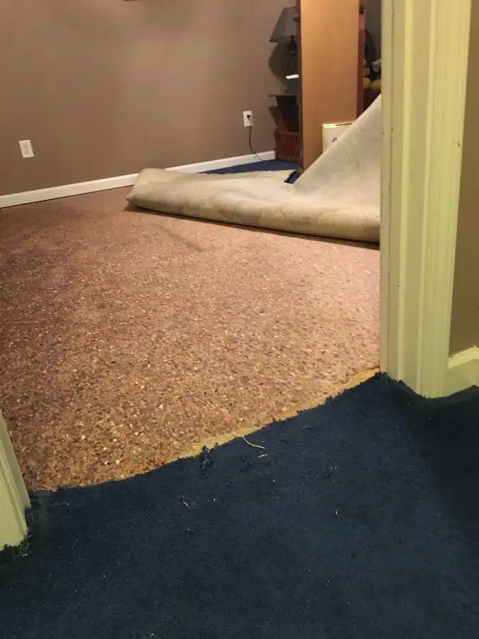 Carpet pad removal revealing water damage during Drying & Dehumidification in Paterson
