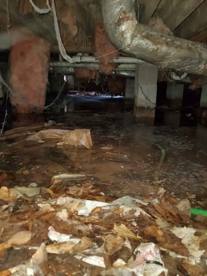 Crawl space flood assessment for Leak Detection & Repair in Paterson