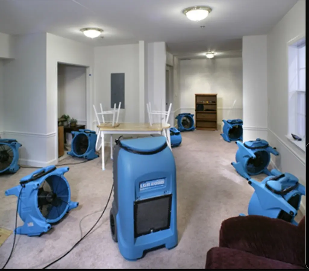 Air movers and dehumidifier setup for Water Extraction & Removal in Paterson