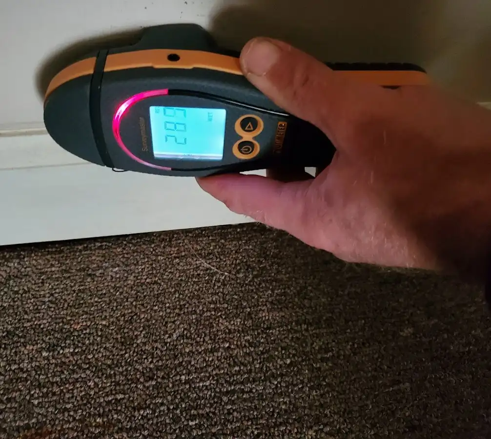 Moisture detection at baseboard during Sewage Cleanup & Sanitation in Paterson
